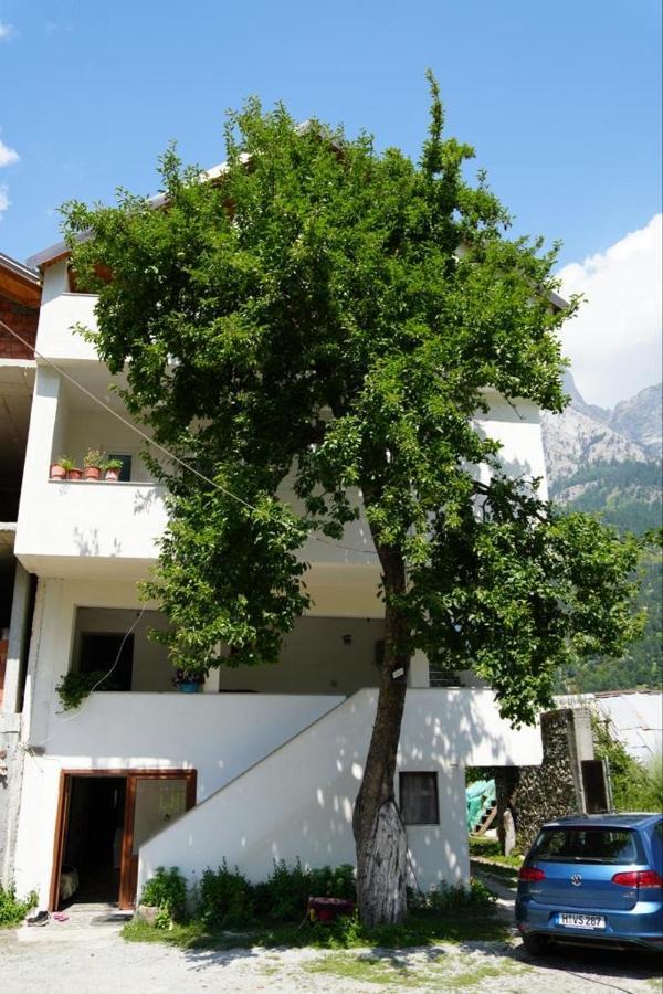Guesthouse Skender Selimaj Valbone Ngoại thất bức ảnh
