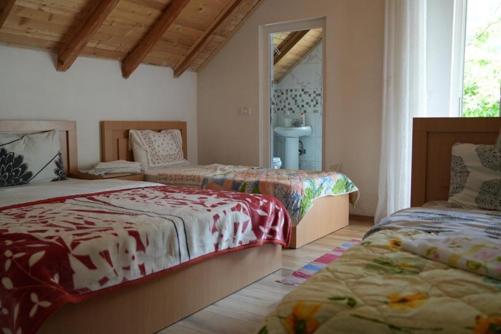 Guesthouse Skender Selimaj Valbone Ngoại thất bức ảnh